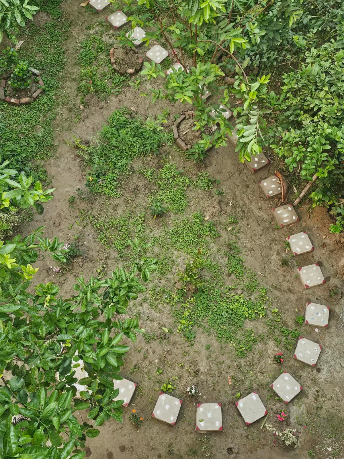 The Winter Rest Retreat at Swarna's Homestay photo 10