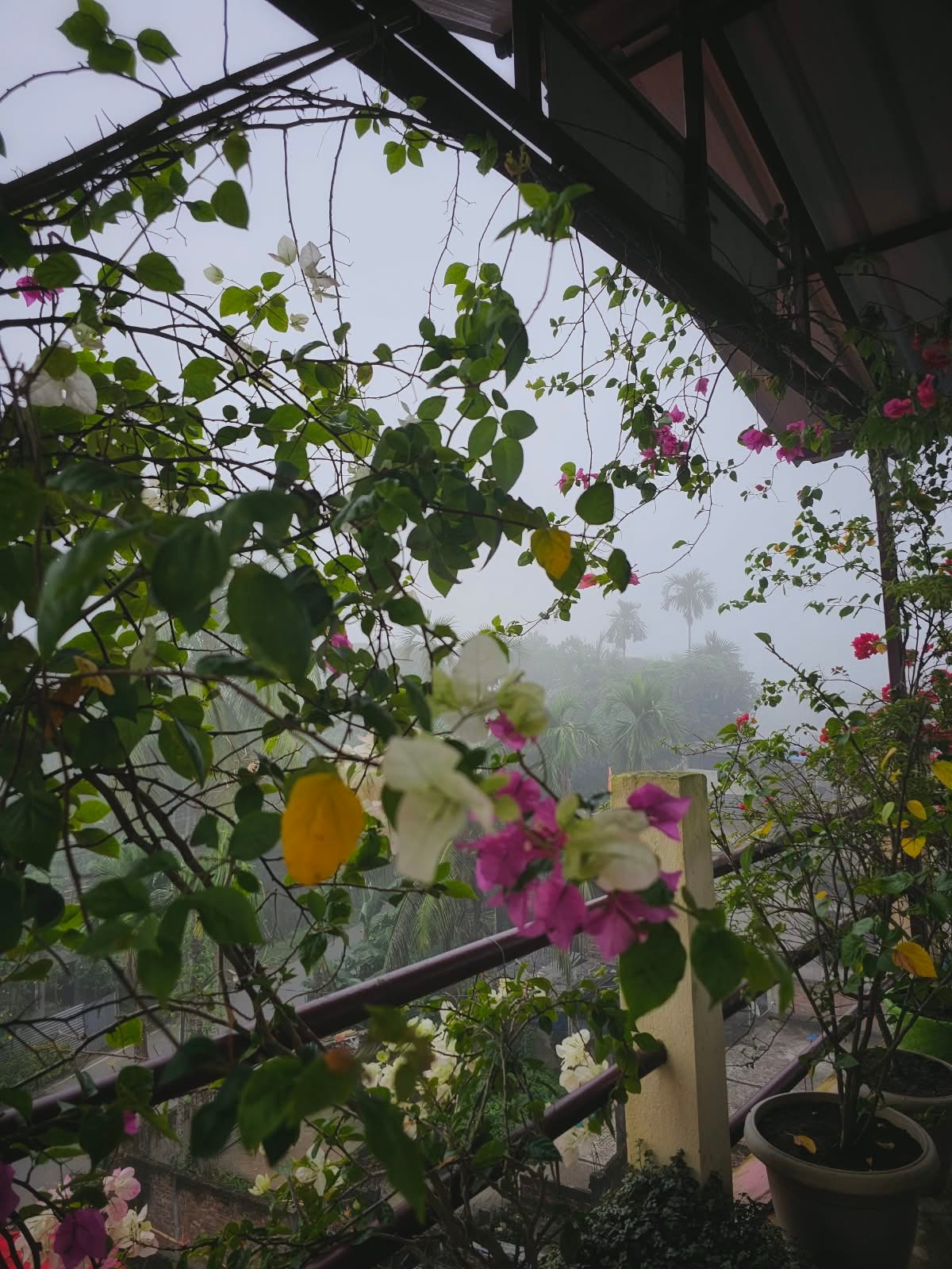 The Winter Rest Retreat at Swarna's Homestay photo 6