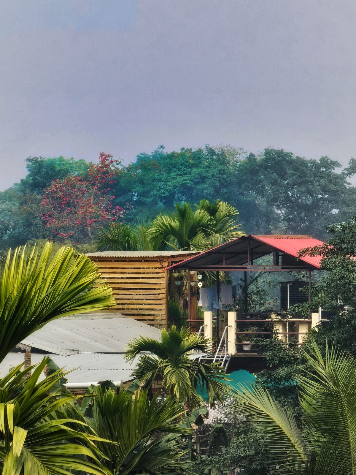 The Winter Rest Retreat at Swarna's Homestay photo 3