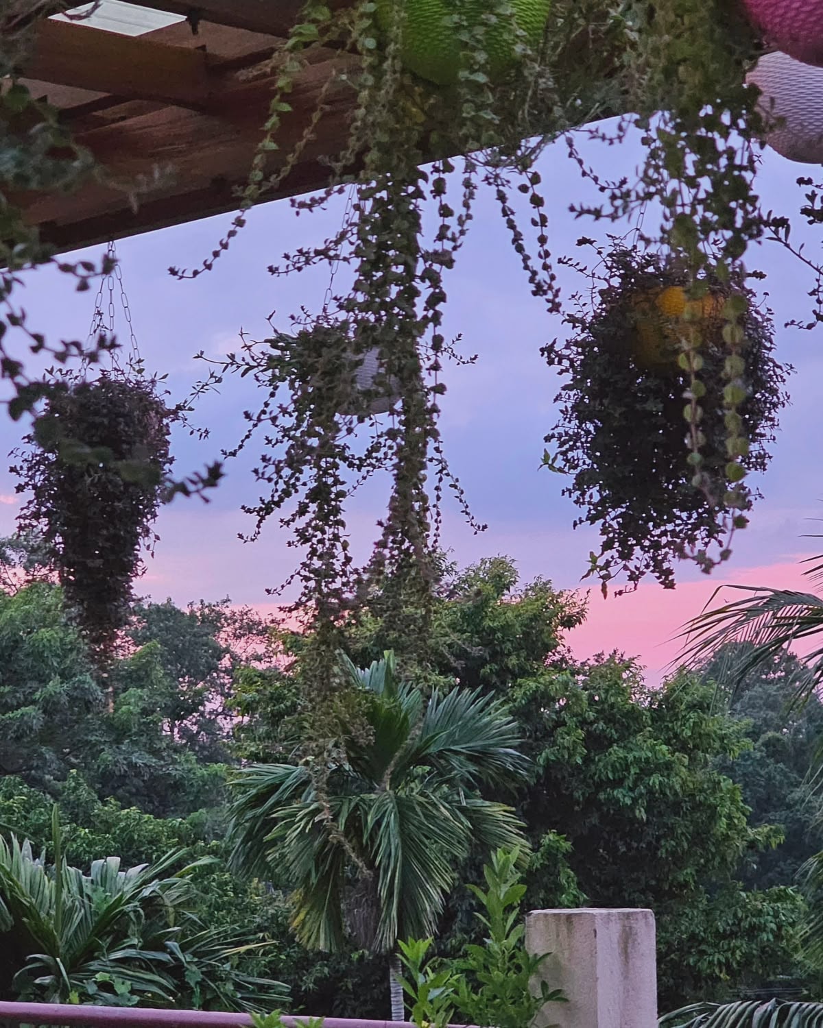 The Winter Rest Retreat at Swarna's Homestay photo 7