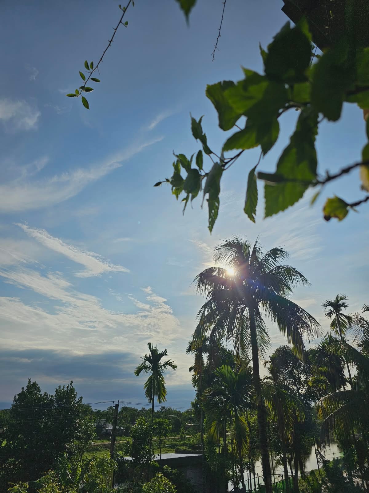 The Winter Rest Retreat at Swarna's Homestay photo 8