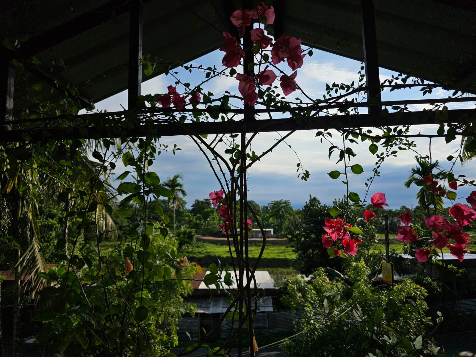 The Winter Rest Retreat at Swarna's Homestay photo 5