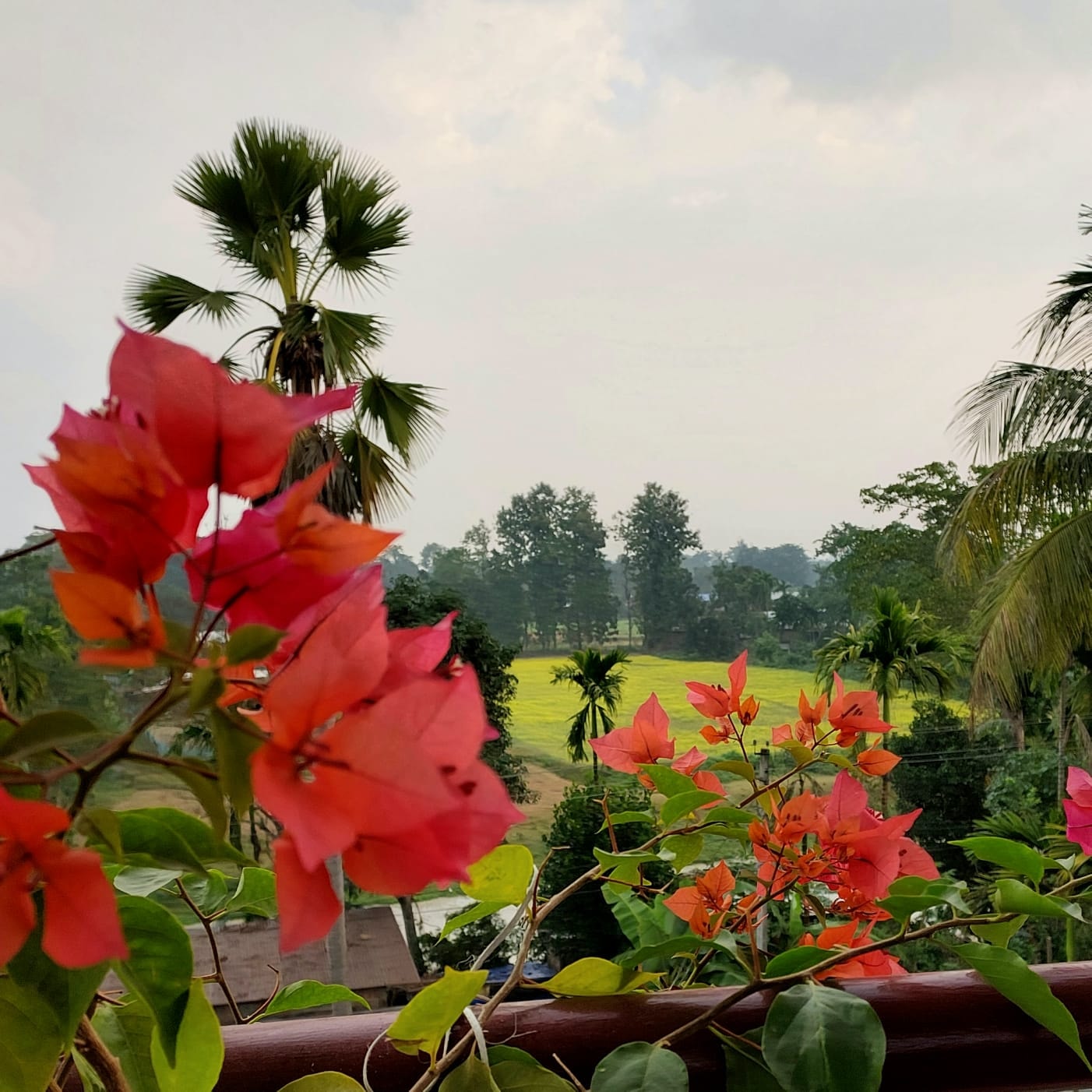 The Winter Rest Retreat at Swarna's Homestay photo 4