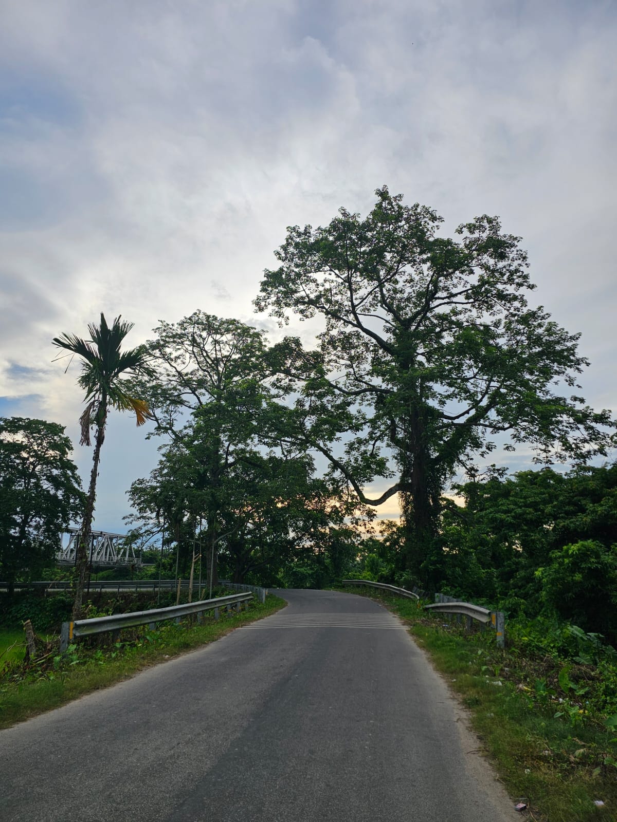 The Winter Rest Retreat at Swarna's Homestay photo 9